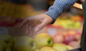 formazione-responsabili-settore-alimentare-ortofrutta