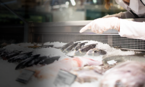 formazione-addetti-settore-alimentare-pescheria