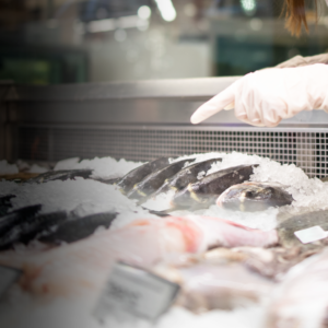 Formazione Addetti Settore Alimentare: Pescheria